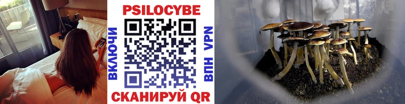 Псилоцибиновые грибы прущие грибы  Сим 